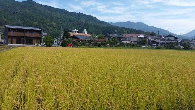 むらざと自然農園